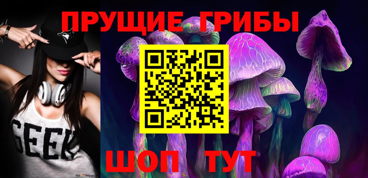 Нягань  Галлюциногенные грибы Psilocybine cubensis  Вход с VPN 