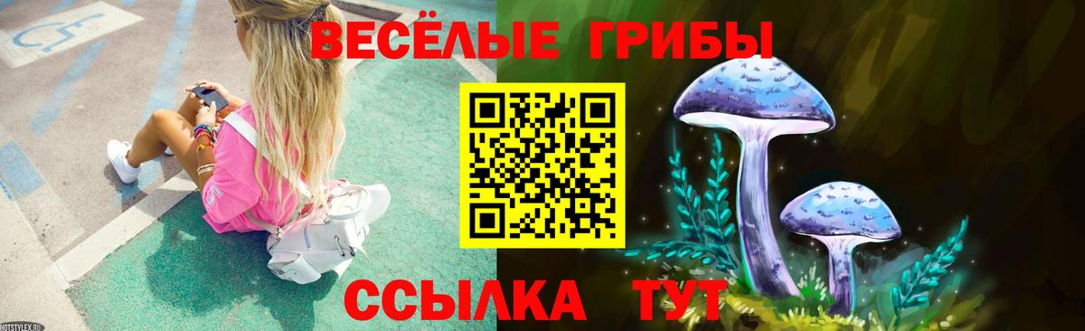 Псилоцибиновые грибы Psilocybe Нягань